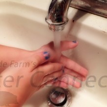 Ways To Help Prevent & Discourage Biting