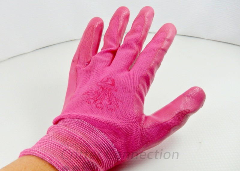 Using Gloves When Handling Your Hedgehog
