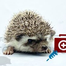 Health Care FAQ