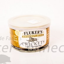 Insects A La Carte