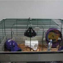 Cage Selection & Requirements