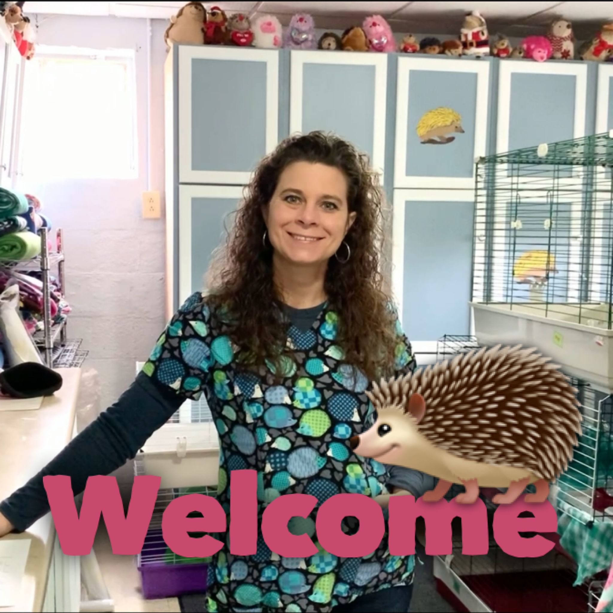 Protected: New Hedgehog Owners: Information and Videos to Watch Before Your Appointment at Our Shop.